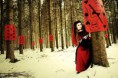 /album/galerie-de-photos-calendrier-de-lavent-decembre-2012/a16-jpg1/